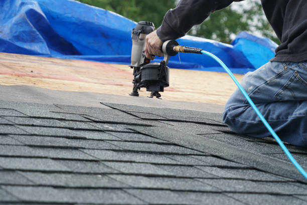 Best Roof Gutter Cleaning  in Magnolia, NJ