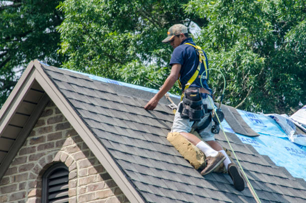 Best Storm Damage Roof Repair  in Magnolia, NJ
